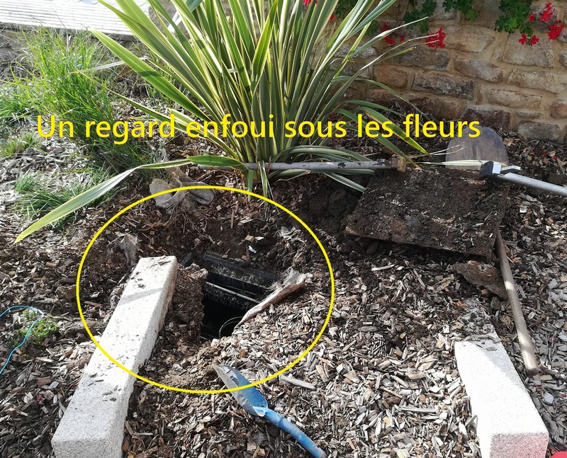 Qu’est-ce qu’un regard ?